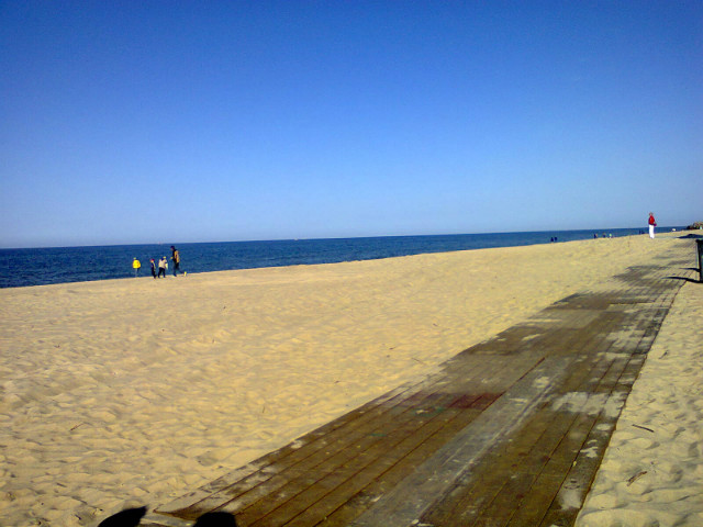 morze 2013
