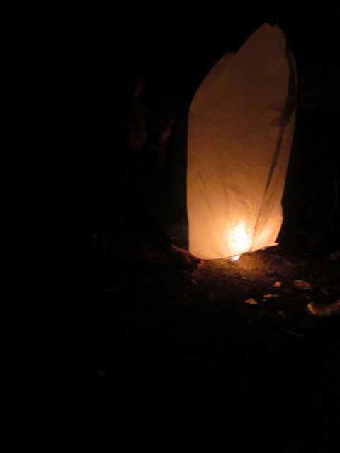 lampion 