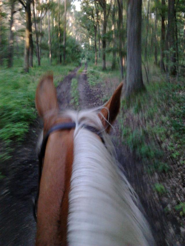 Na wschd od Edenu:)