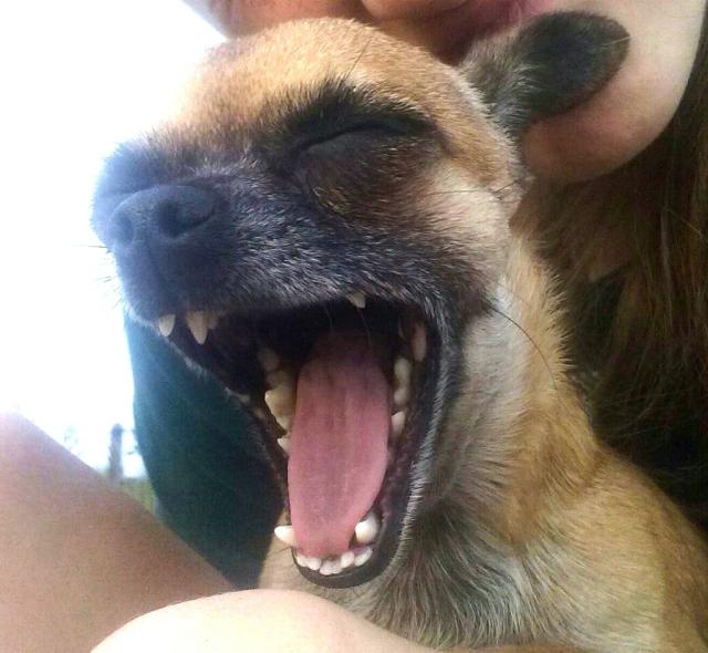 Awrrr:-*