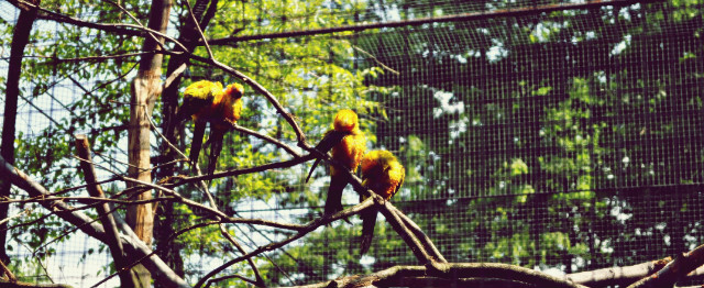 Zoo Ostrava