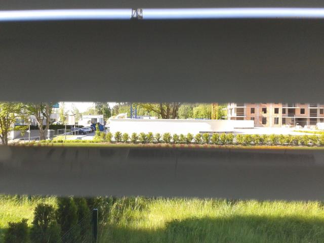 Wpis budzio1