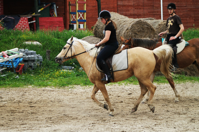 Zastawno :P