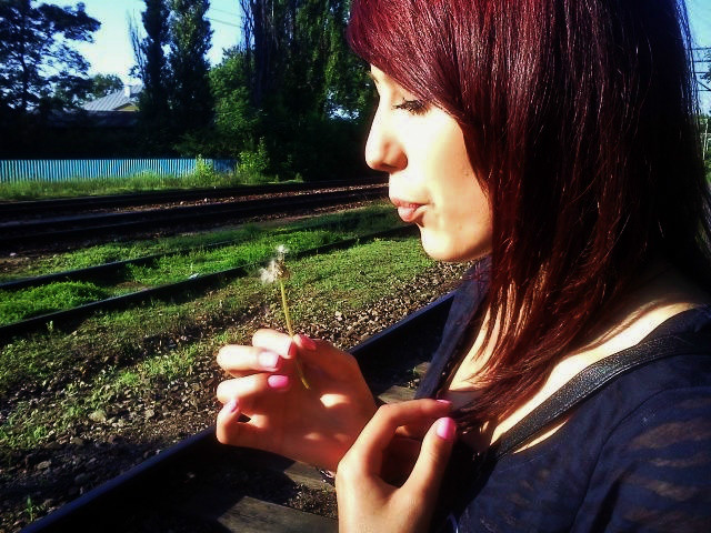 mleczyk *.*