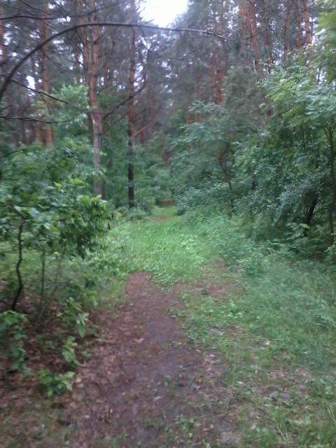 Dziesita