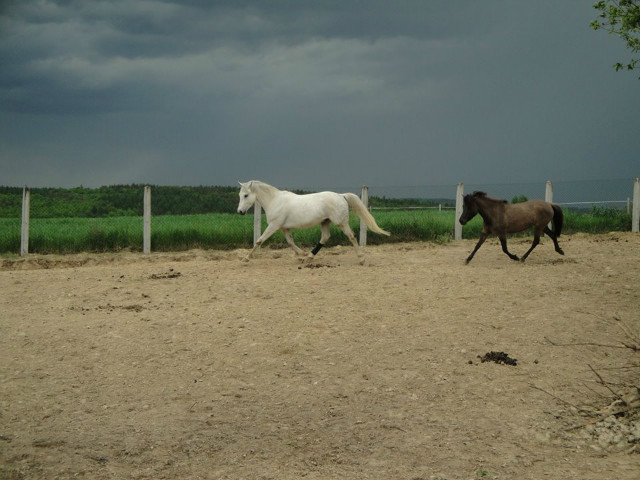 Misie :D