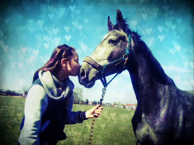 Misiakowate *_*