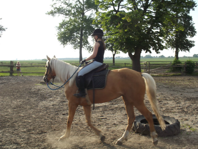 Love it. ;*