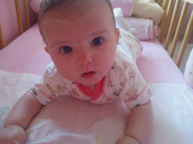 Wpis mawitop