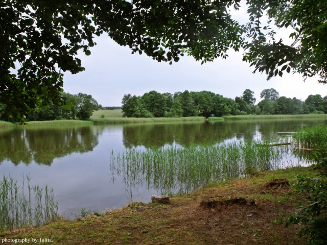 Wpis indywidualistkaja