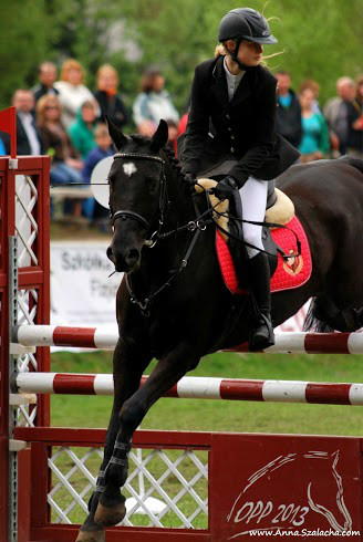 opp 2013- Zabajka