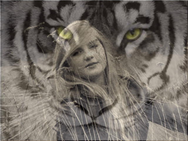 Wpis pinktiger1