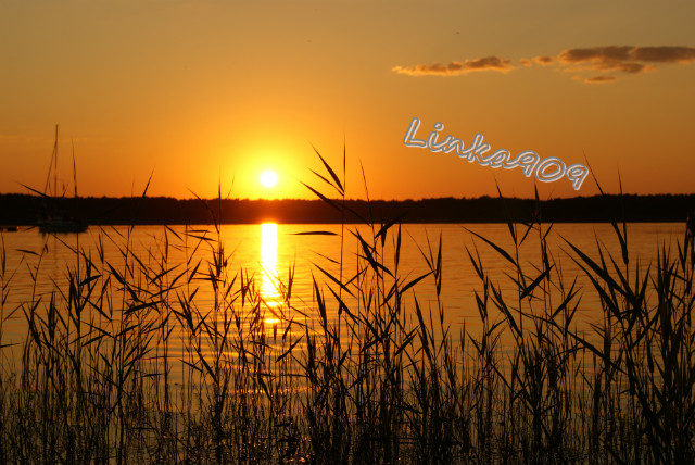 Wpis linka909