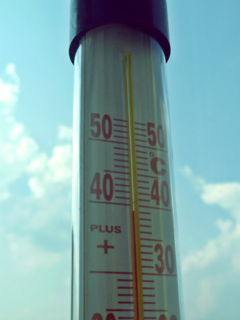 39