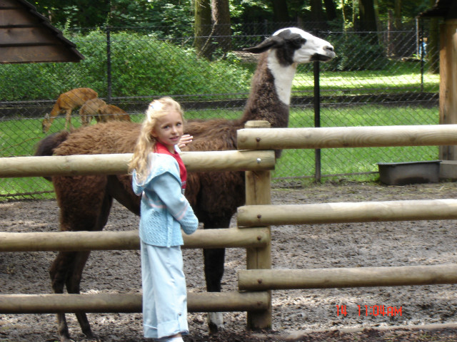 dalajlama
