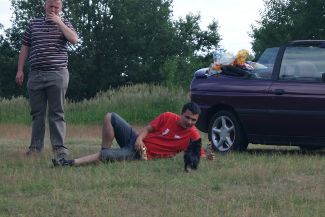 Wpis konstelacja2004