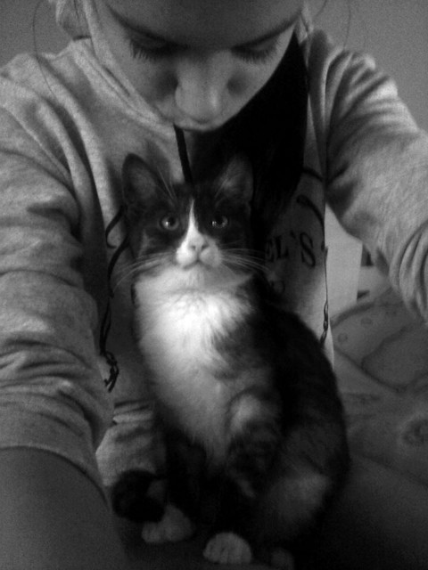 Wpis thisislovee