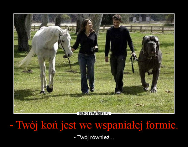 Hhaahaaha;d