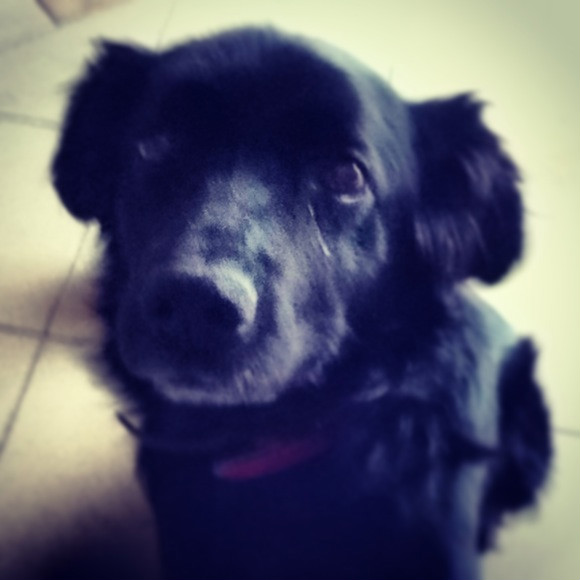 Sabucha! ^^