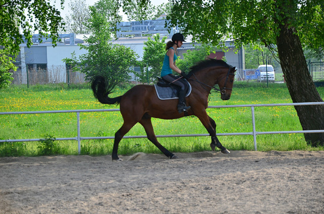 Wpis karina1klaudia