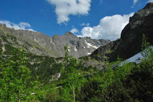 Wpis paulik9