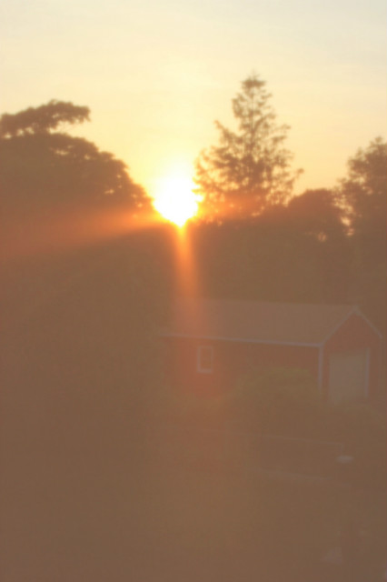 sun 