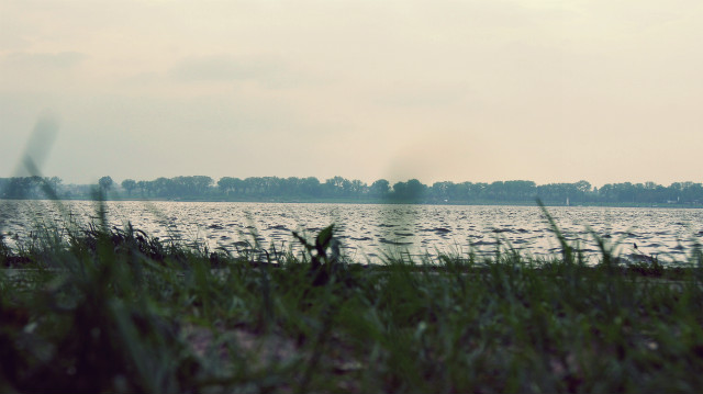 Wpis lusiaczek555