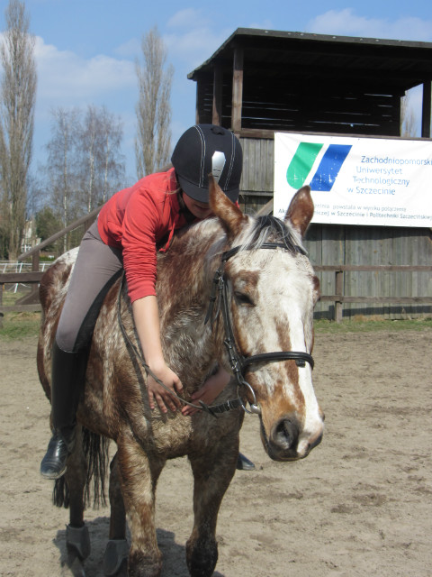 Wpis compelingg