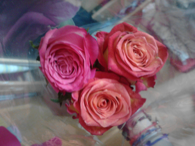 *_* D :** !