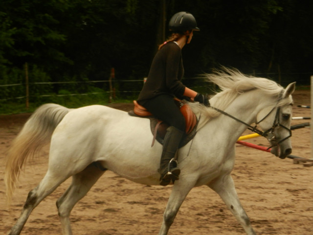 Wpis milcia335