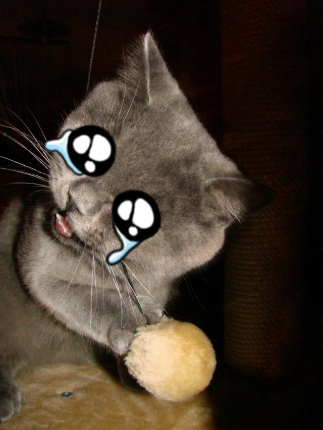 koooti 