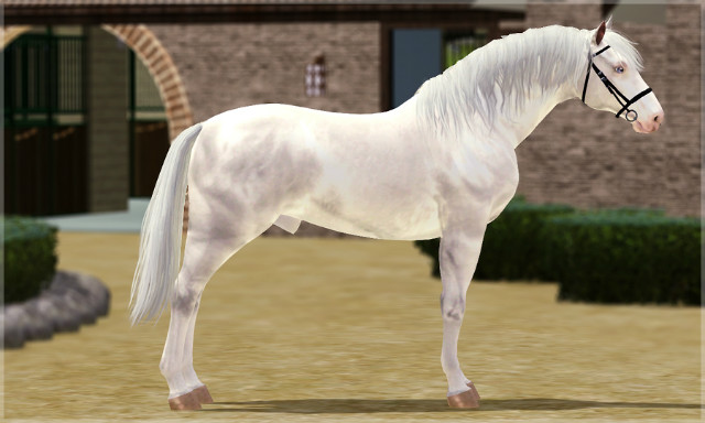 Wpis avillastables