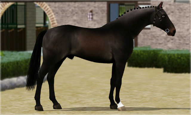 Wpis avillastables