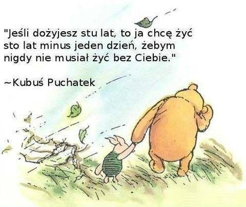 Kubu Puchatek