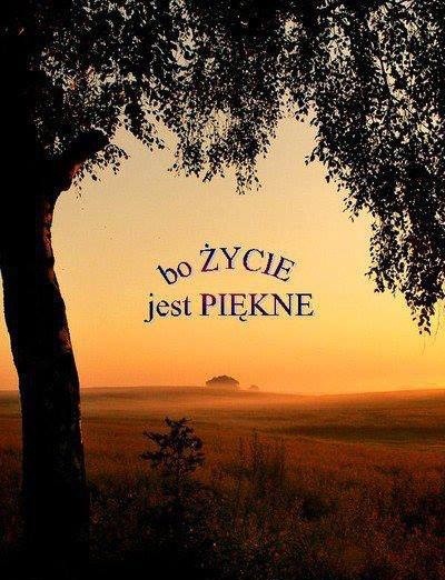 Wpis lifeisyourchance