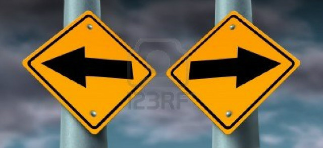 wybory