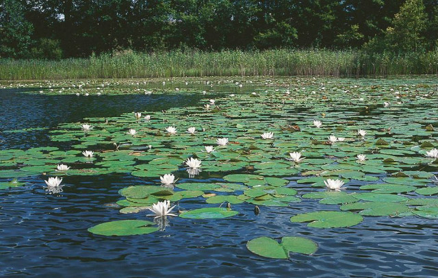 mazury 