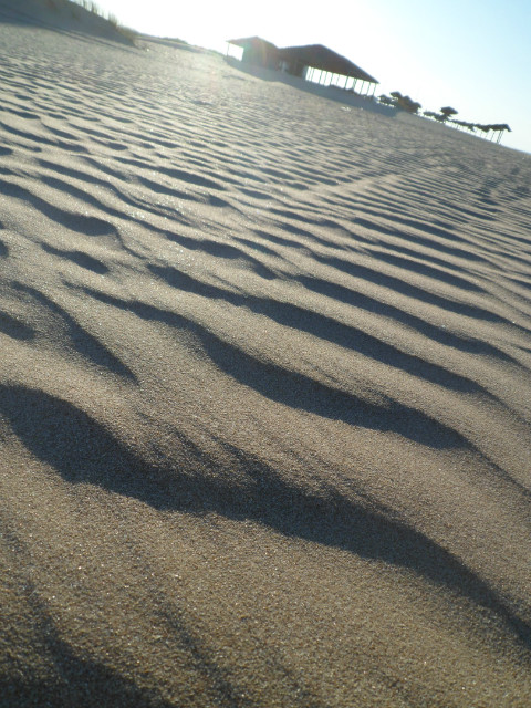 Tunisia...