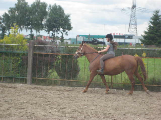 Wpis natika909