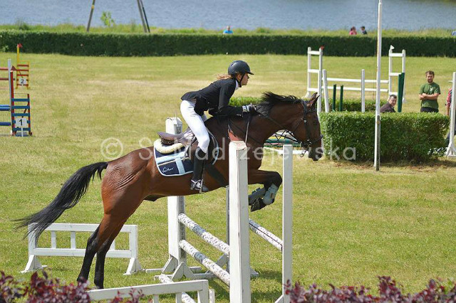 Canter