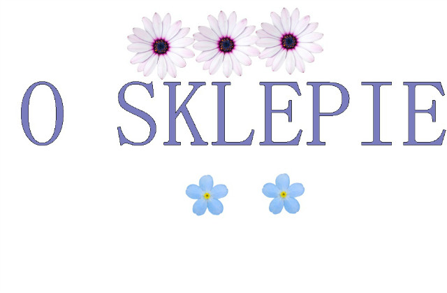 O SKLEPIE