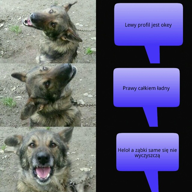 najlepsze ujcia
