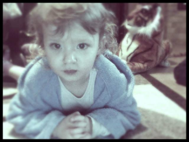 Wpis grochol