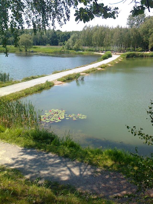 Rzsa  