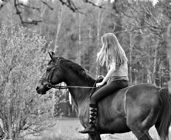 Wpis onlyhorse94