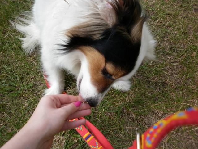 Michuu < 3