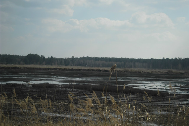 Stare jeziorka . 