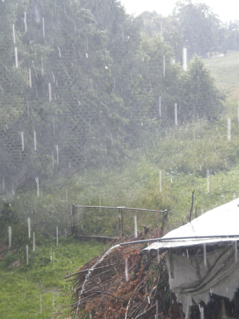 La lluvia.