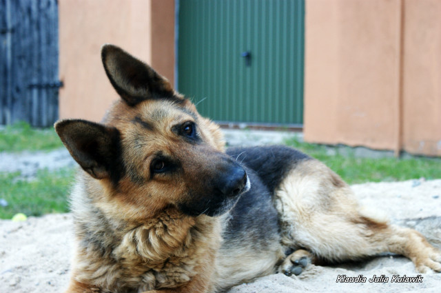 4. - Borys ;)