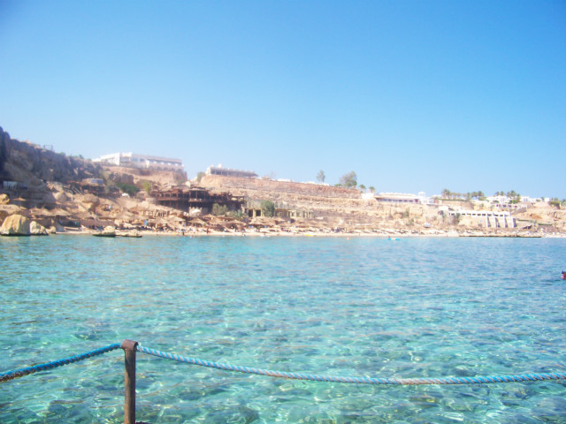 Holiday!